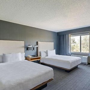 Deluxe  Queen Room Mobility accessible